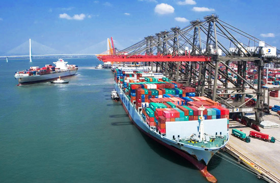 There are three types of sea transportation in the United States: Matson, ZIM, and Yantian. How do you choose?
